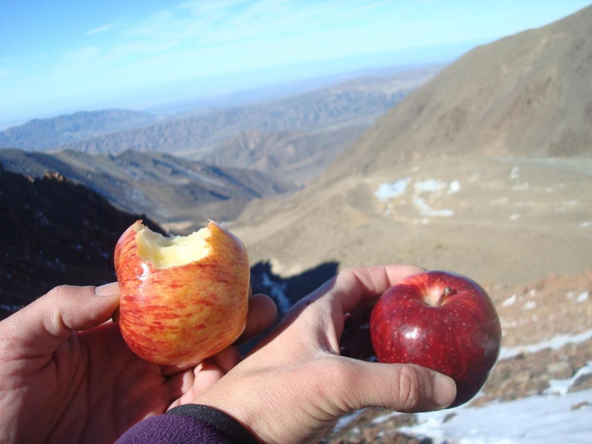 Nomade Mountain House Hostel Potrerillos Bagian luar foto