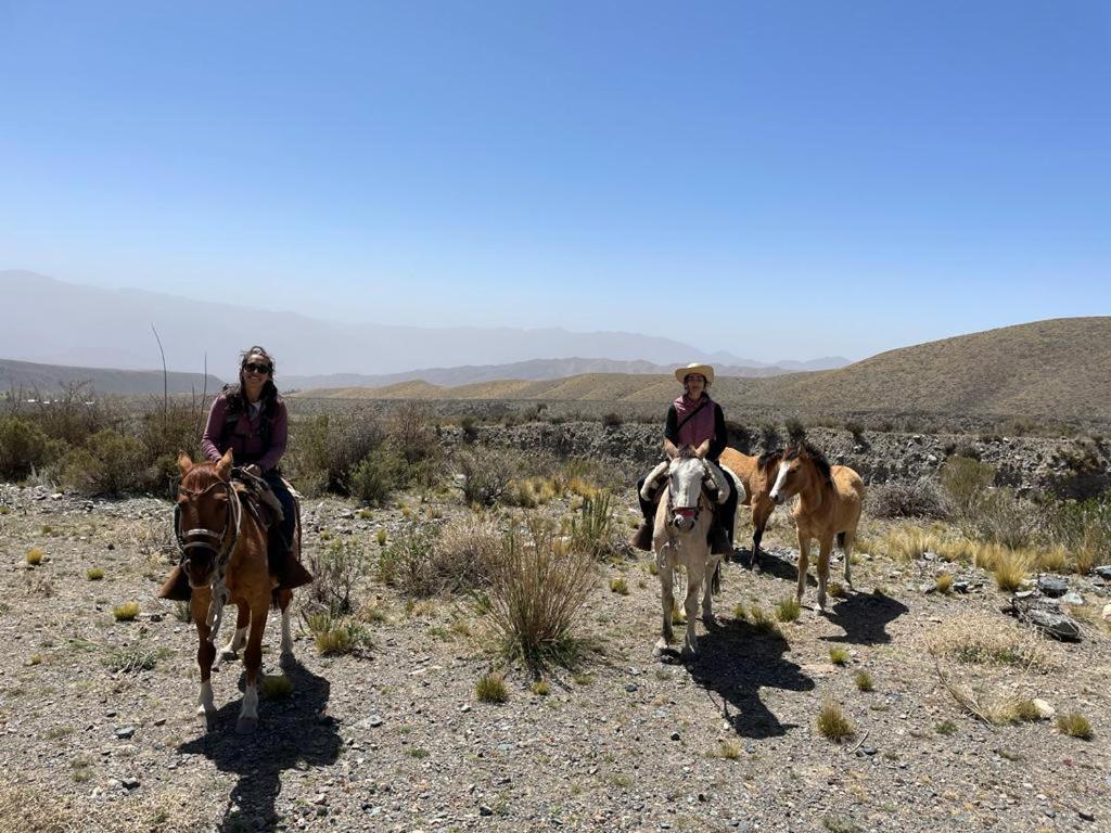 Nomade Mountain House Hostel Potrerillos Bagian luar foto